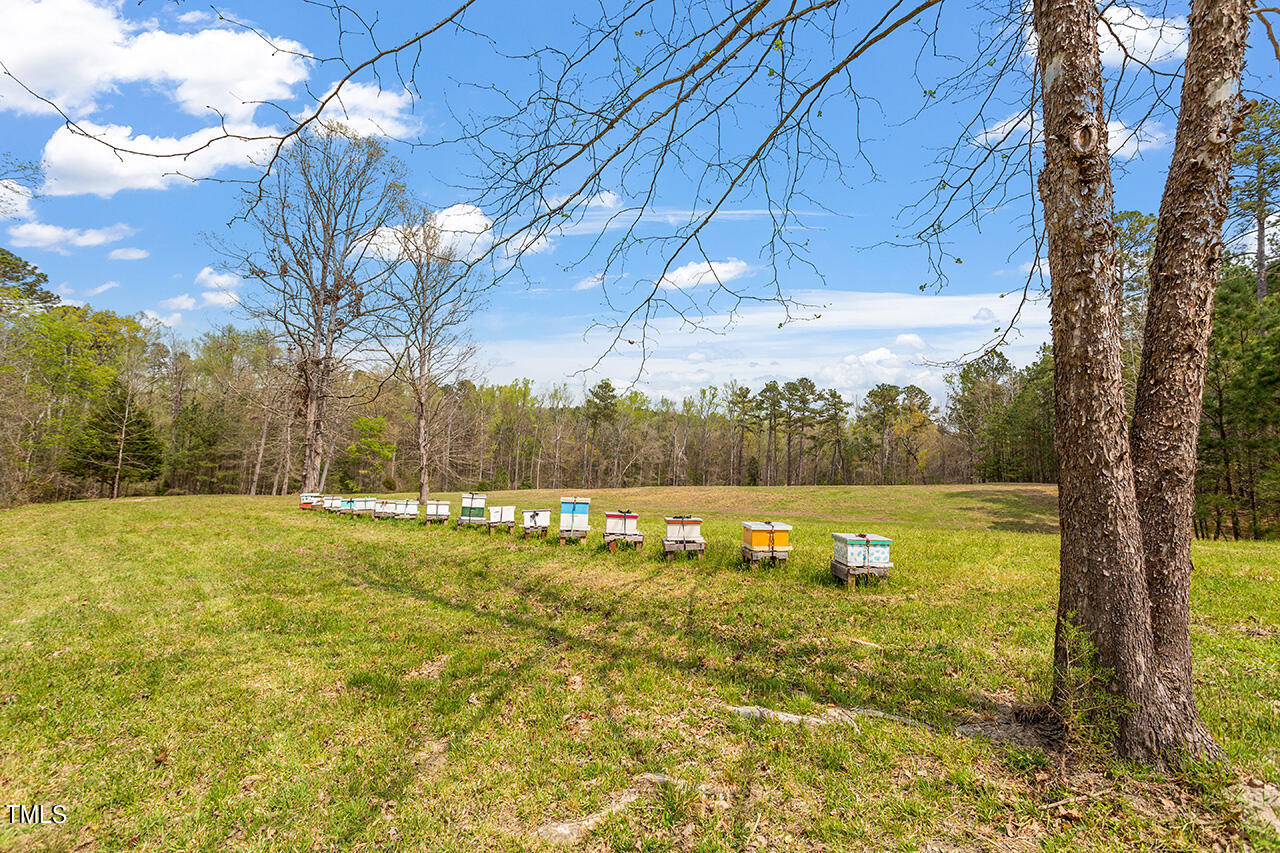 1906 Boyce Bridge Road Creedmoor, NC 27522 - Photo 12 of 39 1906 Boyce Bridge Road_31