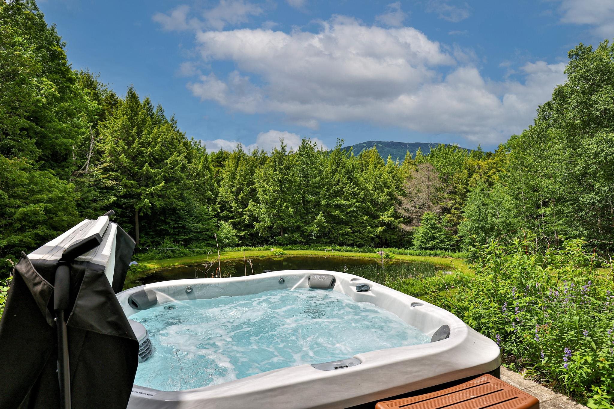 39 Wallis View Lane Ludlow, VT 05149 - Photo 51 of 60