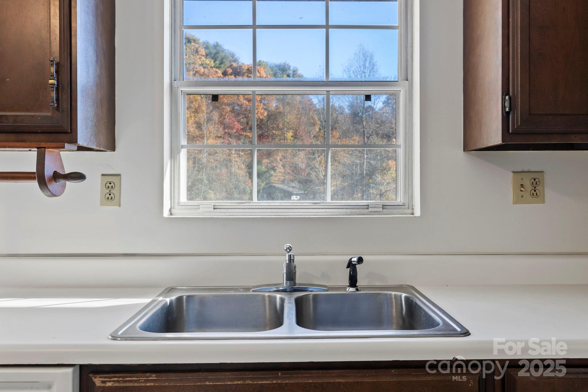 150 Trent Road Brevard, NC 28712 - Photo 10 of 22 a close view of sink and tap