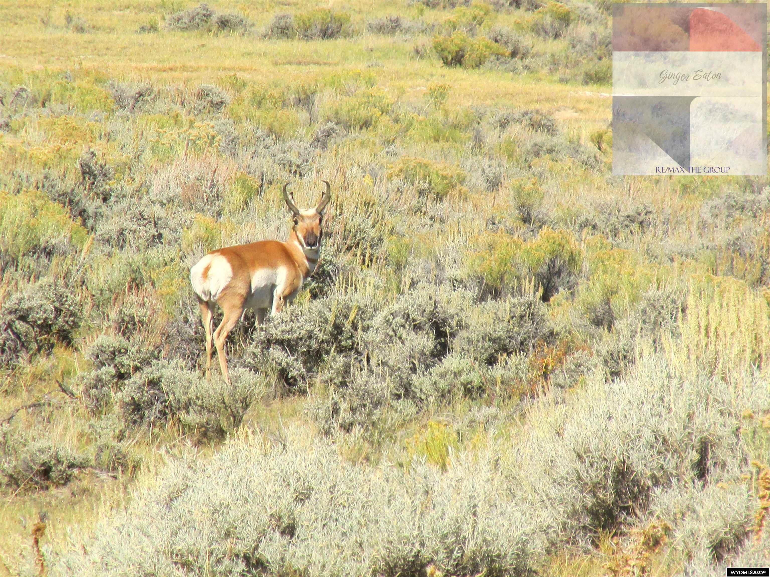 Lot 33 Pedro Mtn Ranch Hanna, WY 82327 - Photo 11 of 14