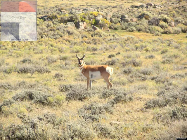 $145,000 | Lot 33 Pedro Mtn Ranch, Hanna, WY 82327