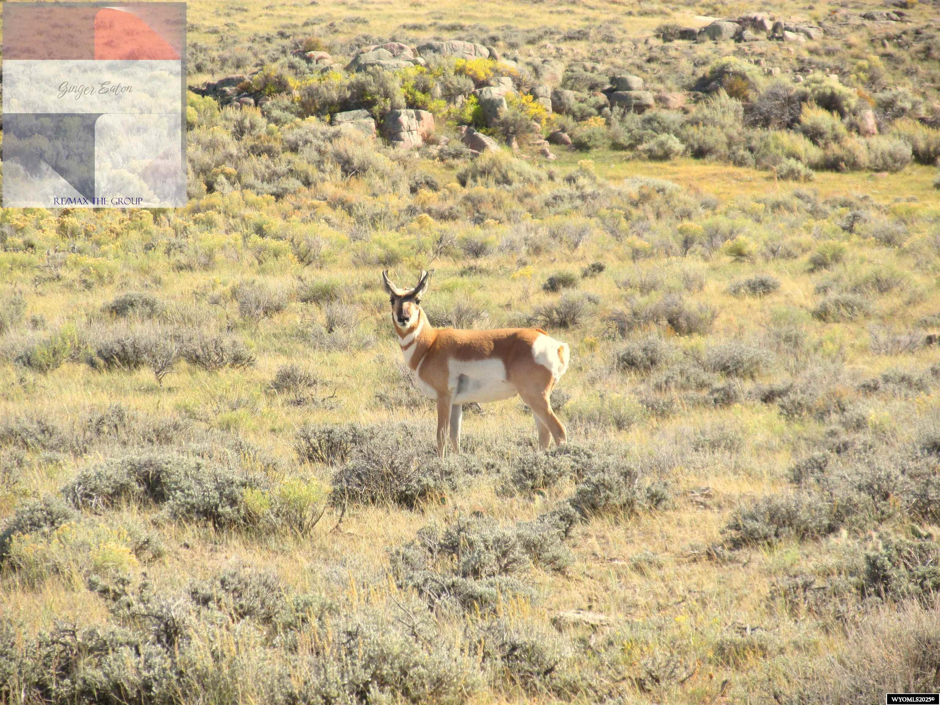 Lot 33 Pedro Mtn Ranch Hanna, WY 82327 - Photo 12 of 14