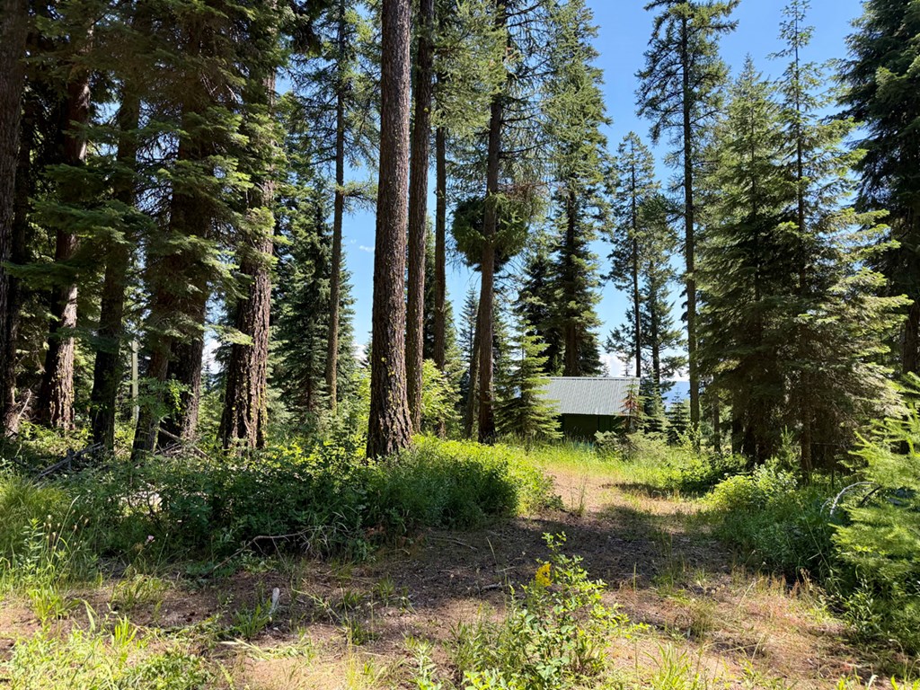 1610 Bear Trail Loop, Unit 3A16 Cascade, ID 83611 - Photo 7 of 10 Circular Driveway is Roughed In