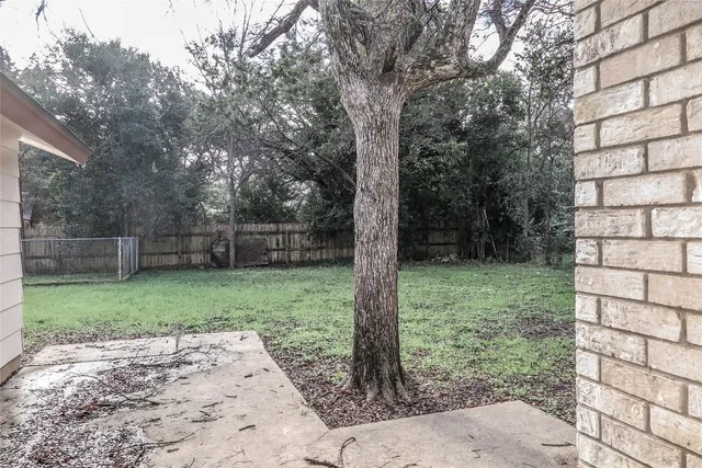 a view of a yard with a tree