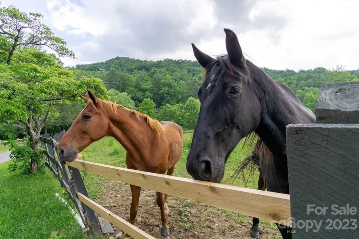 72 Scotchmans Road Waynesville, NC 28786 - Photo 11 of 46 a view of outdoor space and yard