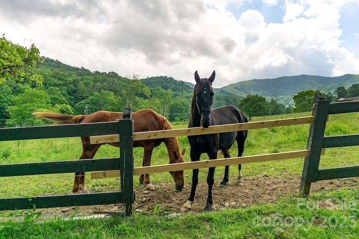 72 Scotchmans Road Waynesville, NC 28786 - Photo 24 of 46 a view of a chairs and table in the garden
