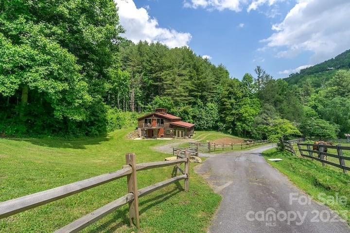 72 Scotchmans Road Waynesville, NC 28786 - Photo 38 of 46 a garden view with a seating space