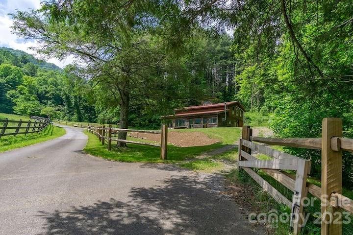 72 Scotchmans Road Waynesville, NC 28786 - Photo 41 of 46 a view of a park with large trees