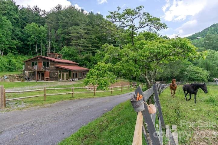 72 Scotchmans Road Waynesville, NC 28786 - Photo 10 of 46 a view of a house in a big yard with large trees