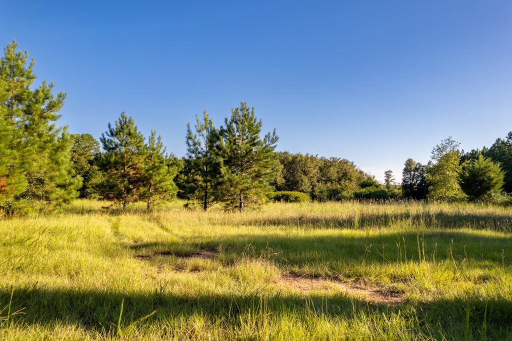 2226 Randall Wade Road Headland, AL 36345 - Photo 45 of 60