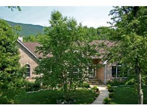 4314 Cold Springs Road Raphine, VA 24472 - Photo 1 of 8 a view of a house with a backyard