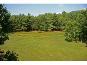 4314 Cold Springs Road Raphine, VA 24472 - Photo 8 of 8 a view of a field with an ocean view