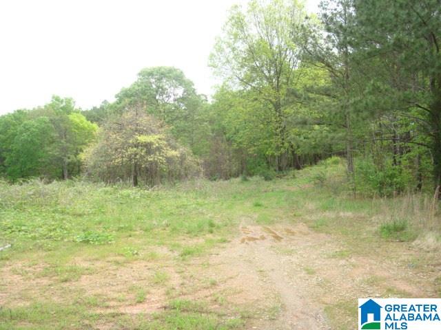 Kitchens Street, Unit 20 Anniston, AL 36201 - Photo 2 of 16