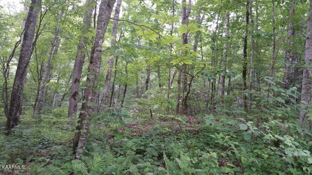 Grouse Top Road Walland, TN 37886 - Photo 2 of 11 Grouse Top Property