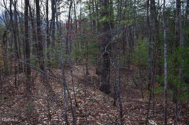 Grouse Top Road Walland, TN 37886 - Photo 3 of 11 Grouse Top Property