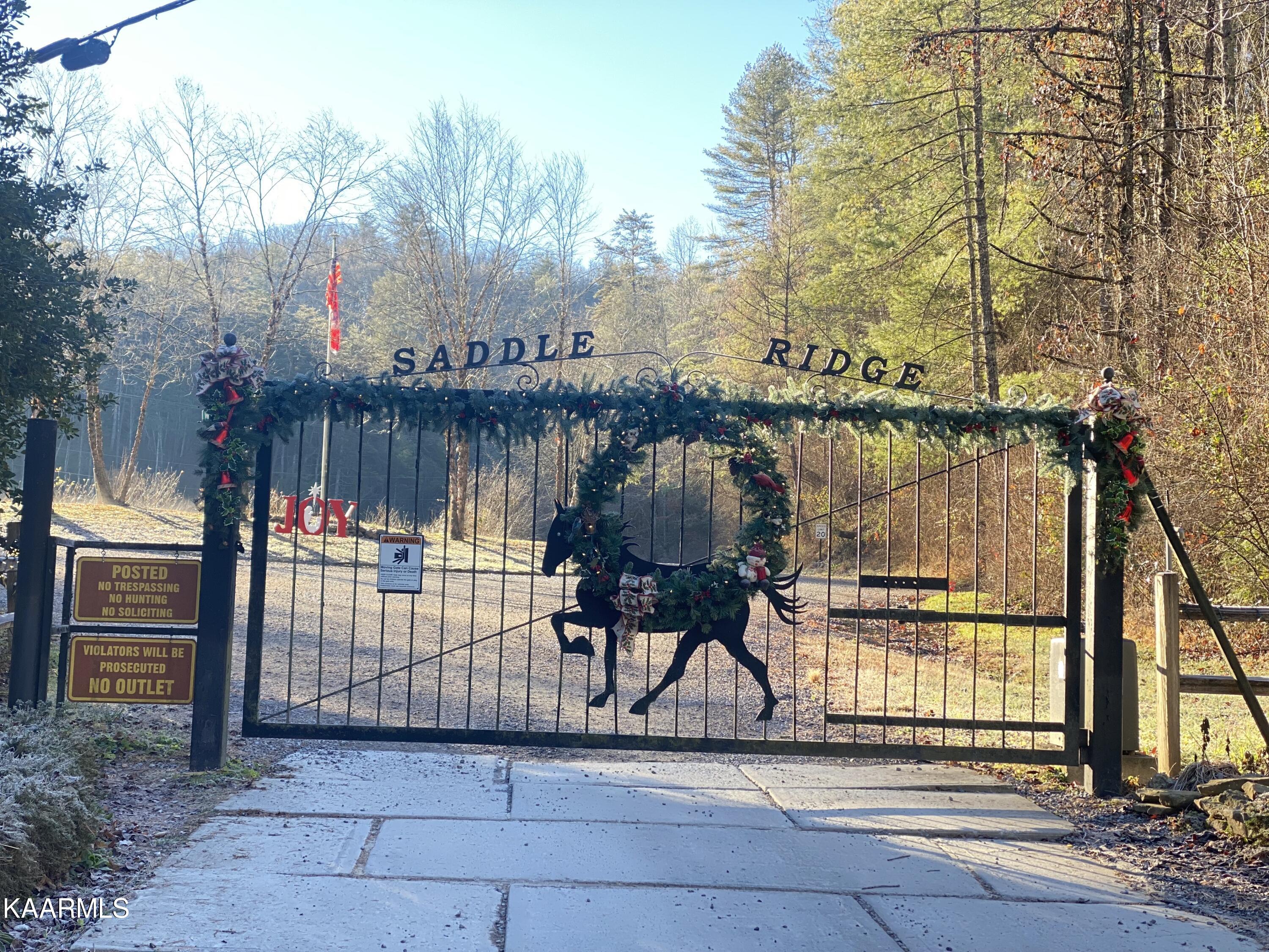 Grouse Top Road Walland, TN 37886 - Photo 5 of 11 Gated Entrance