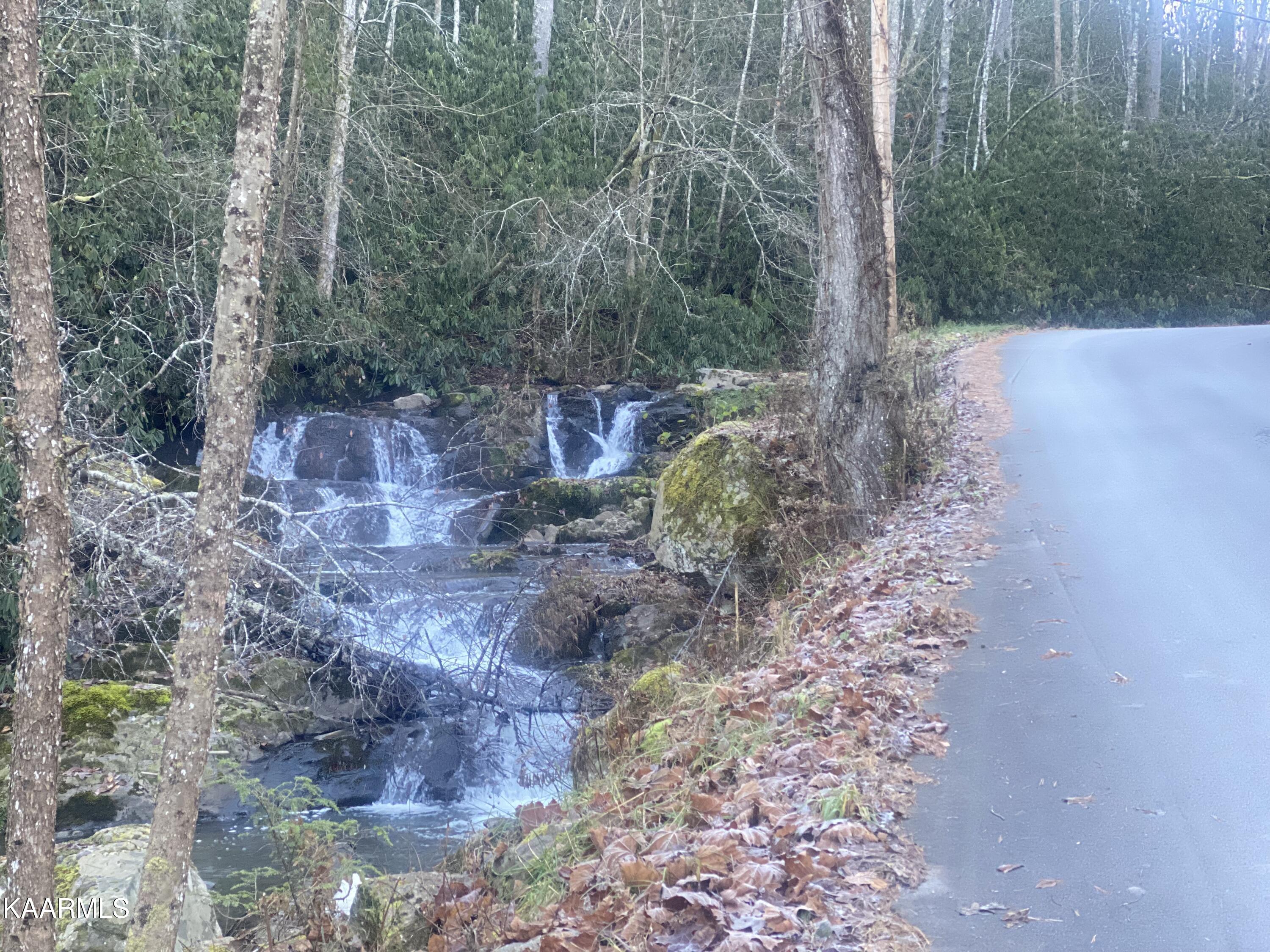Grouse Top Road Walland, TN 37886 - Photo 6 of 11 Drive in to the Community