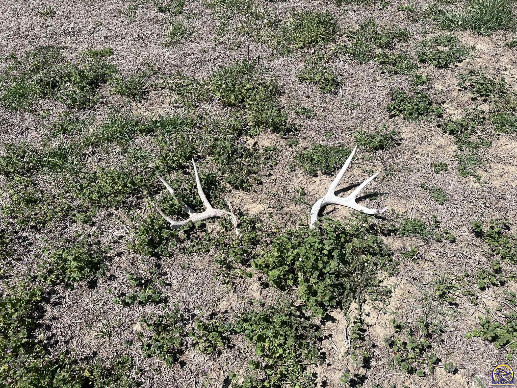 6024 Southeast Stubbs Road Tecumseh, KS 66542 - Photo 37 of 38