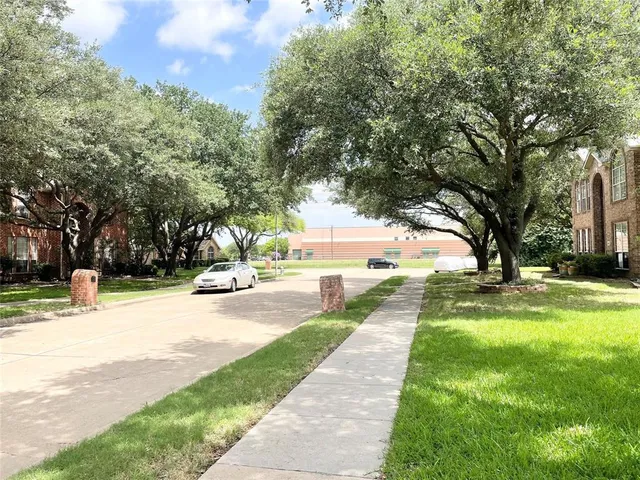 a park with large trees