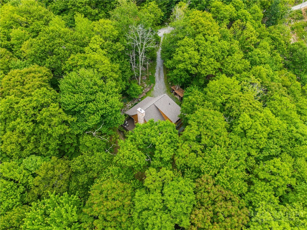 405 Snowridge Road Banner Elk, NC 28604 - Photo 41 of 50