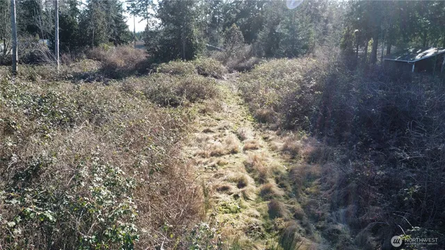 a view of a dry yard