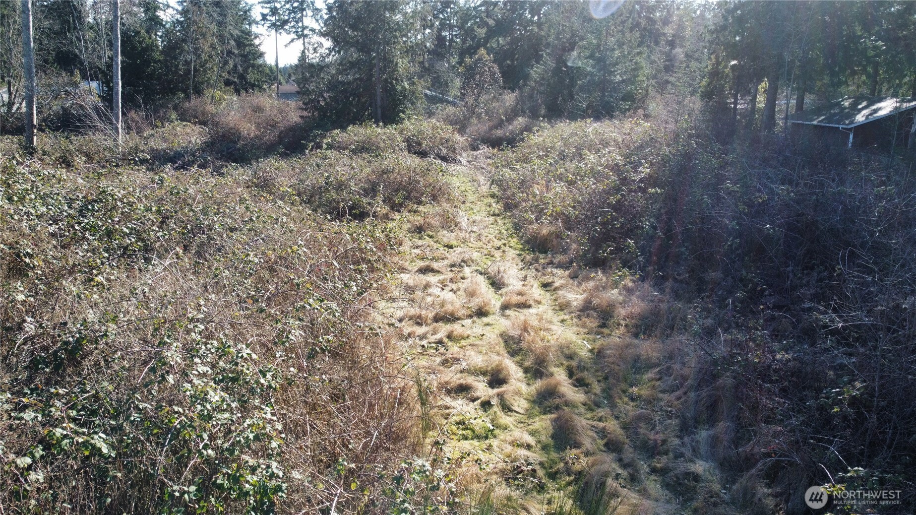 1210 Irondale Road Port Hadlock, WA 98339 - Photo 4 of 7 a view of a dry yard