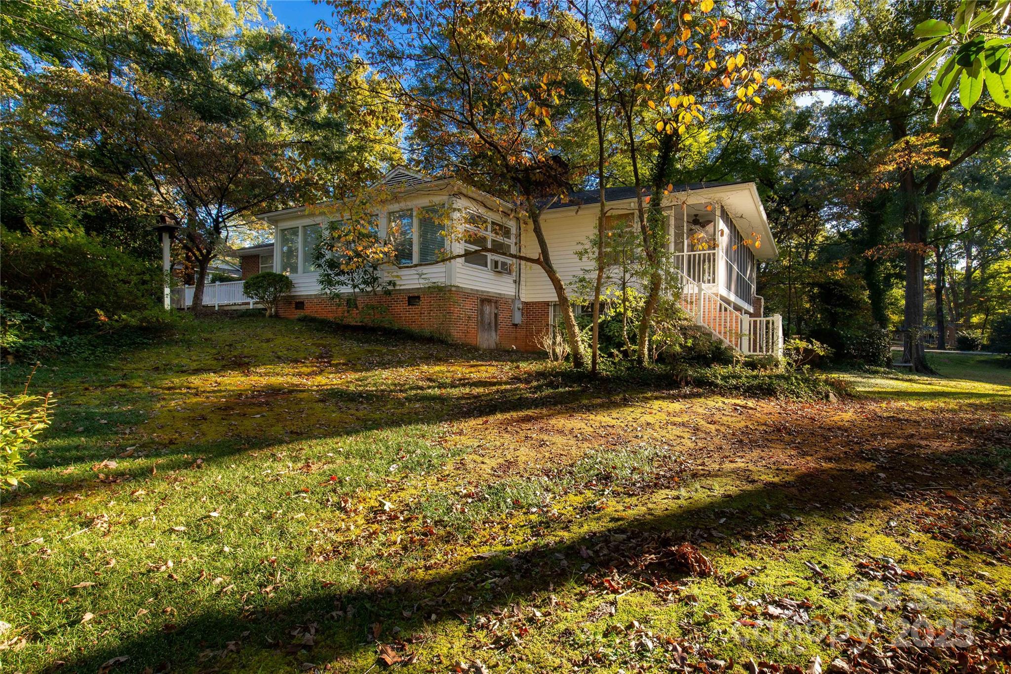 406 Pine Street Lancaster, SC 29720 - Photo 8 of 31 a view of yard with large tree