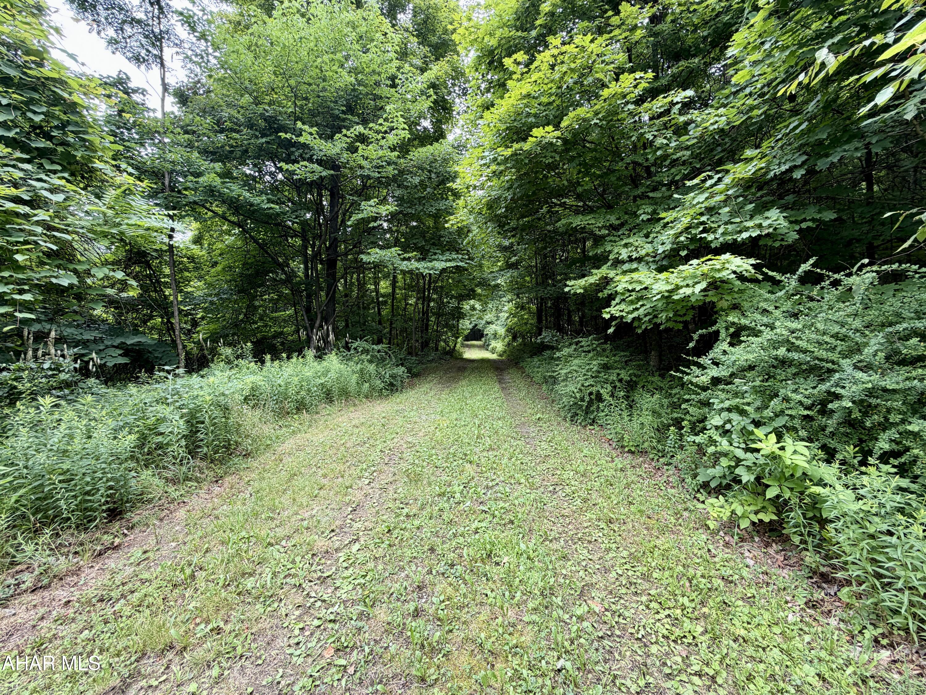 111-ac 111-ac Main Road Bedford, PA 15522 - Photo 24 of 28