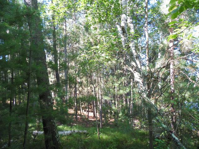 Lot On Blue Heron Road Tomahawk, WI 54487 - Photo 5 of 8 Gallery Image 5