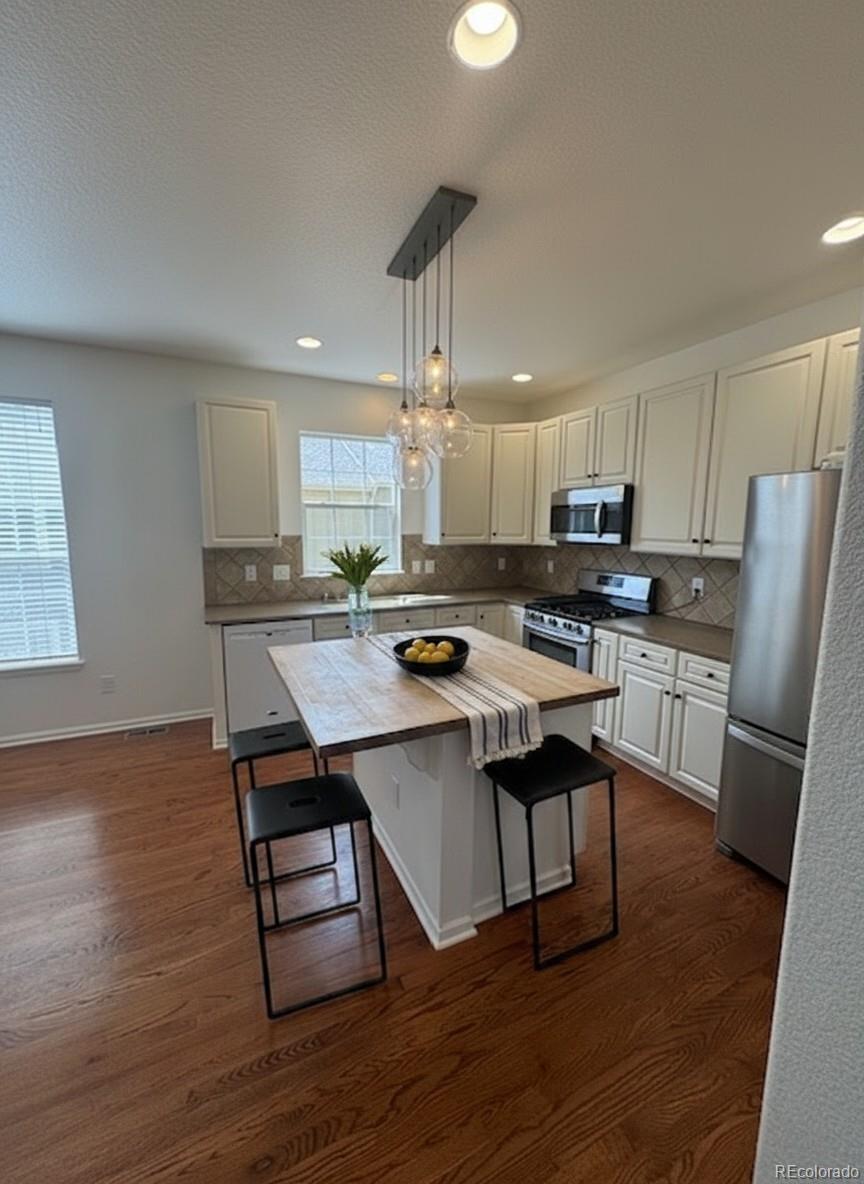 4774 Drowsy Water Road Castle Rock, CO 80108 - Photo 3 of 30