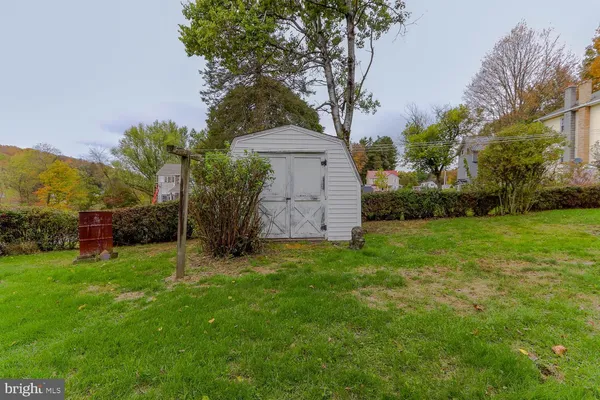 a view of a garden with large trees