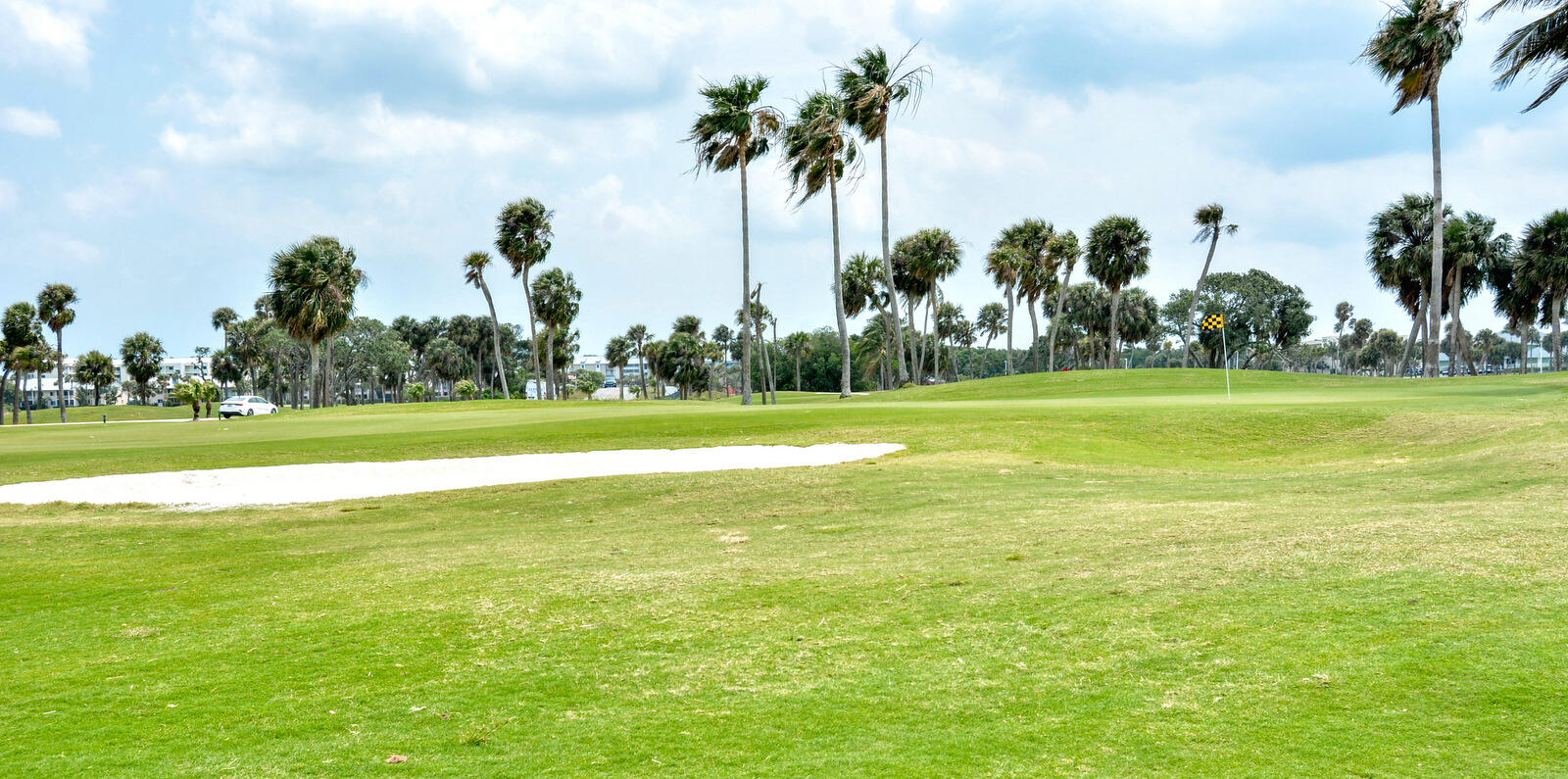 318 Golfview Circle Stuart, FL 34996 - Photo 5 of 39 a view of a park and palm trees