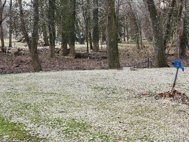 $110,000 | 0 Brown Road, Van Buren, MO 63965