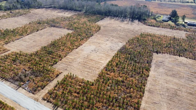 $159,600 | 101-4 Highway 6, Elloree, SC 29047