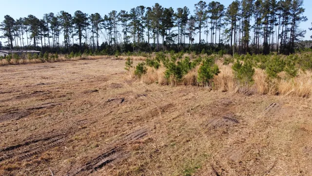 $159,600 | 101-4 Highway 6, Elloree, SC 29047