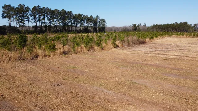 $159,600 | 101-4 Highway 6, Elloree, SC 29047