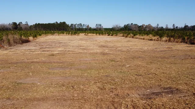 $159,600 | 101-4 Highway 6, Elloree, SC 29047