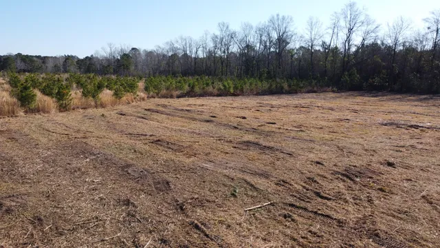 $159,600 | 101-4 Highway 6, Elloree, SC 29047