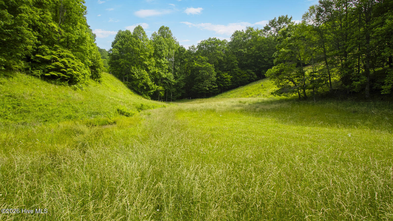 1651 Winding Stairs Road Topton, NC 28781 - Photo 125 of 132