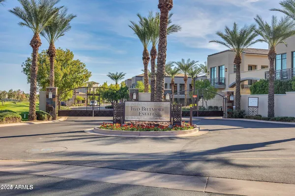 a view of a tall building with a palm tree