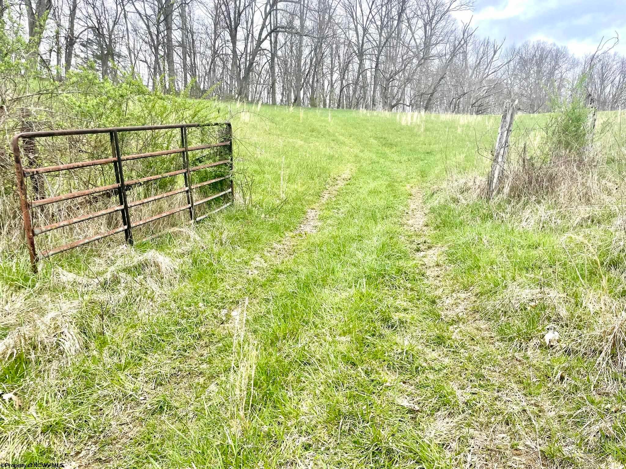 Tbd McCanns Run Road Jane Lew, WV 26378 - Photo 24 of 36 Gallery Image 24
