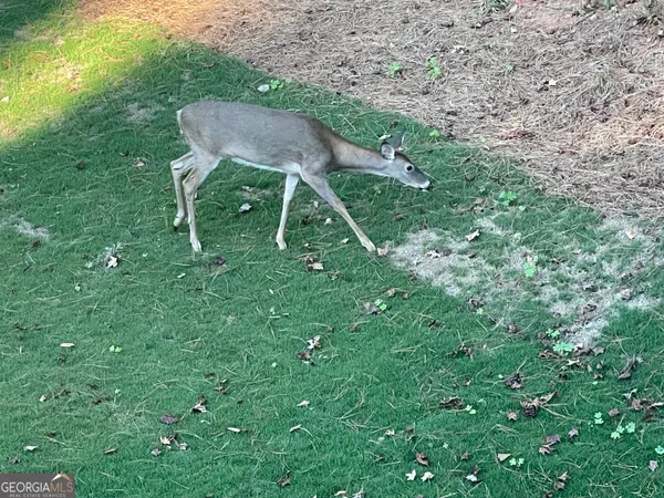 $534,900 | 1002 Farmington Road, Griffin, GA 30224