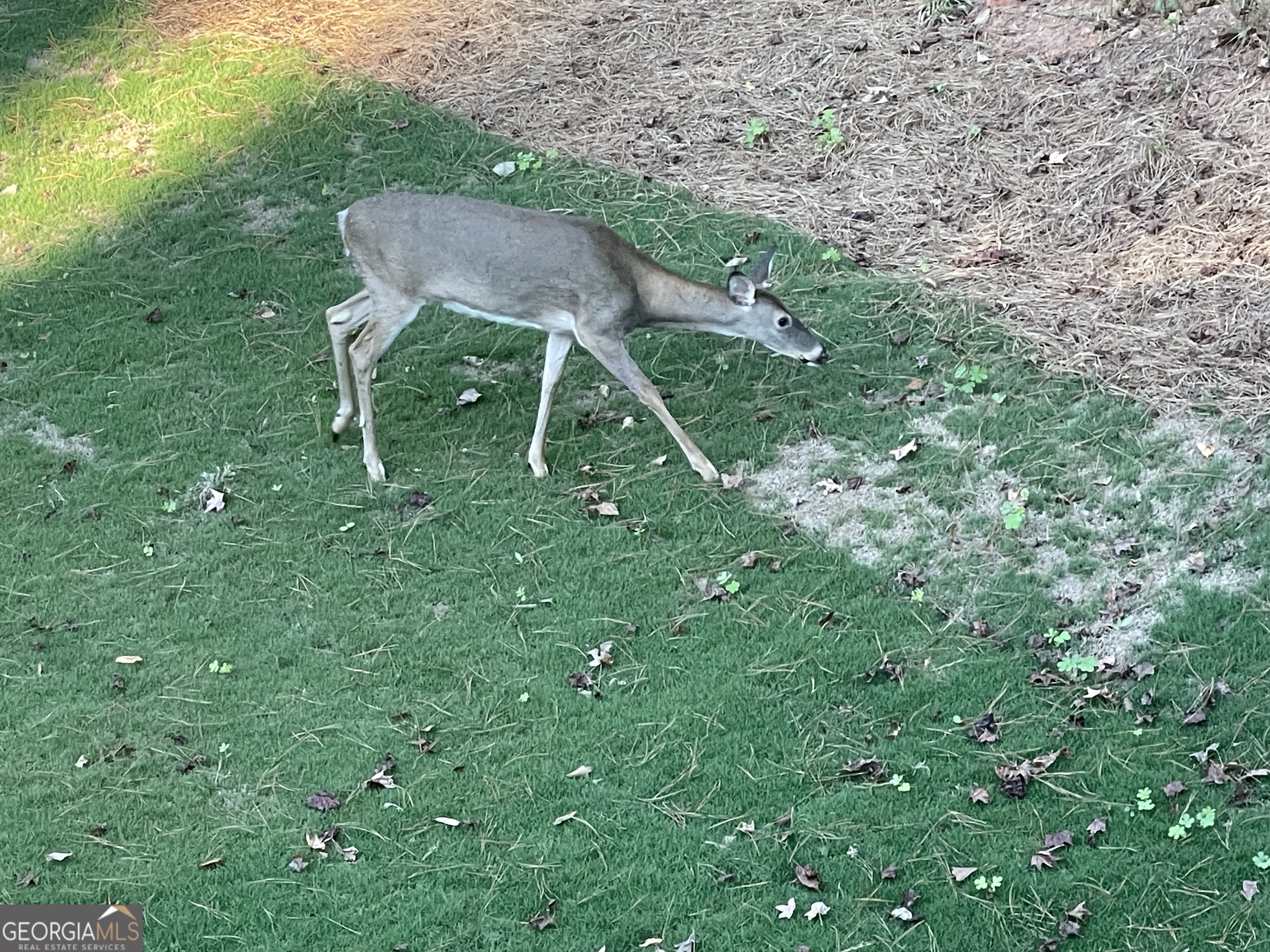 1002 Farmington Road Griffin, GA 30224 - Photo 18 of 99