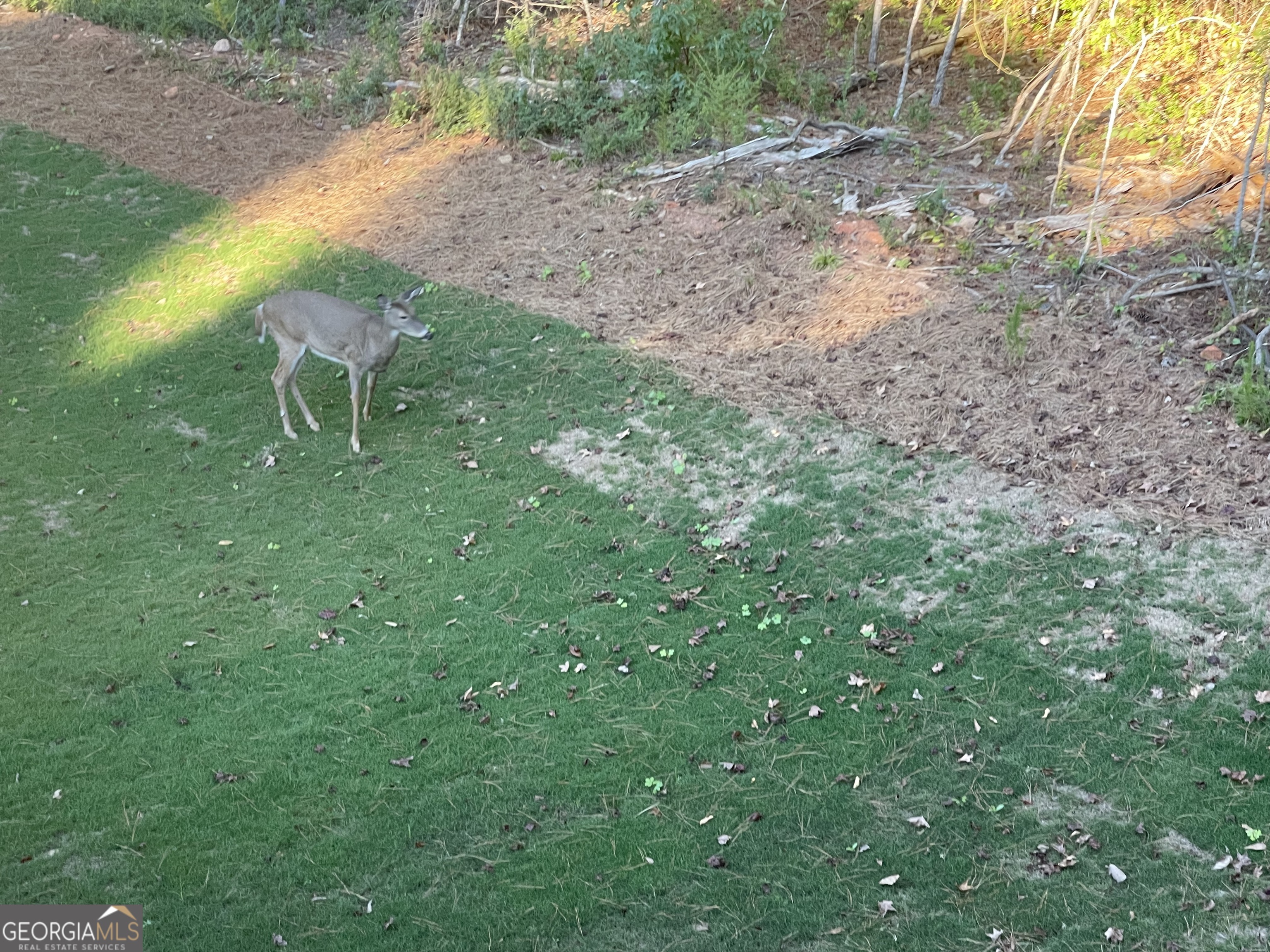 1002 Farmington Road Griffin, GA 30224 - Photo 19 of 99