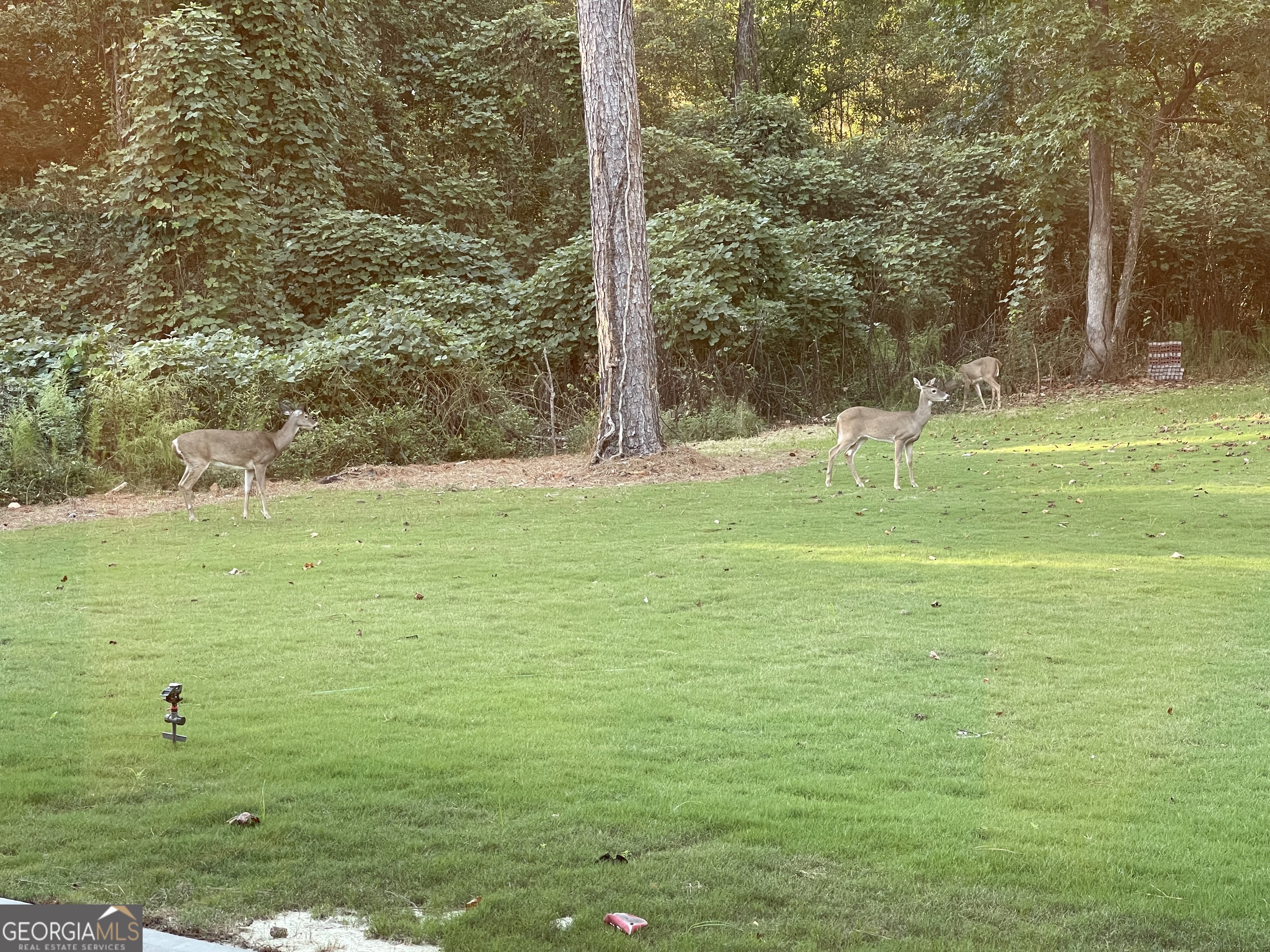 1002 Farmington Road Griffin, GA 30224 - Photo 22 of 99