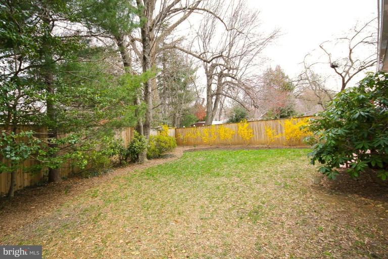 203 Hamilton Avenue Silver Spring, MD 20901 - Photo 13 of 21 Nice leveled lot.