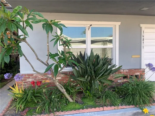 a plant with a plant in front of it