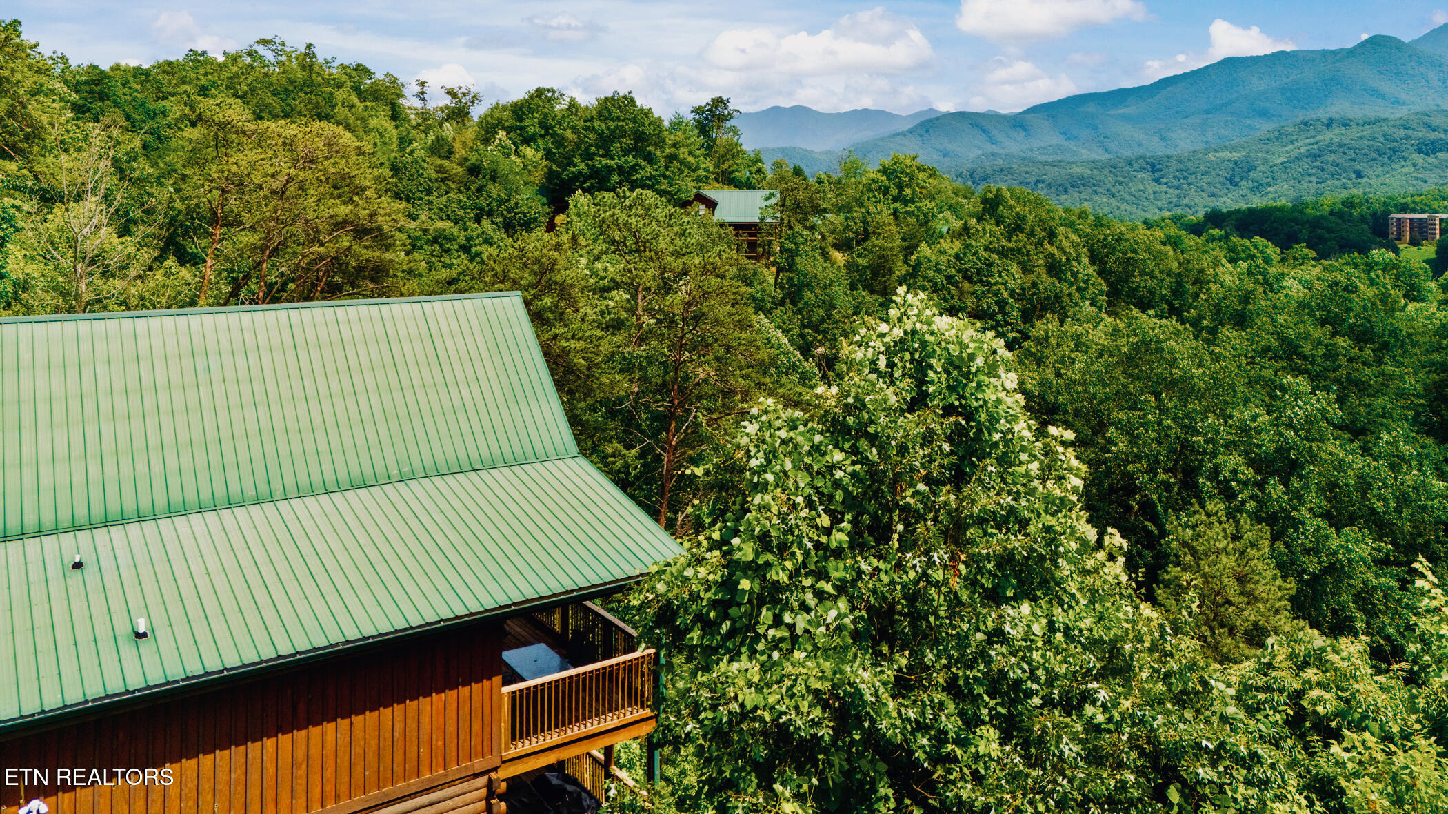 769 Cartertown Road Gatlinburg, TN 37738 - Photo 54 of 54 DJI_20250616153118_0017_D