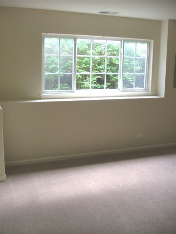 3375 Ravinia Circle Aurora, IL 60504 - Photo 14 of 15
