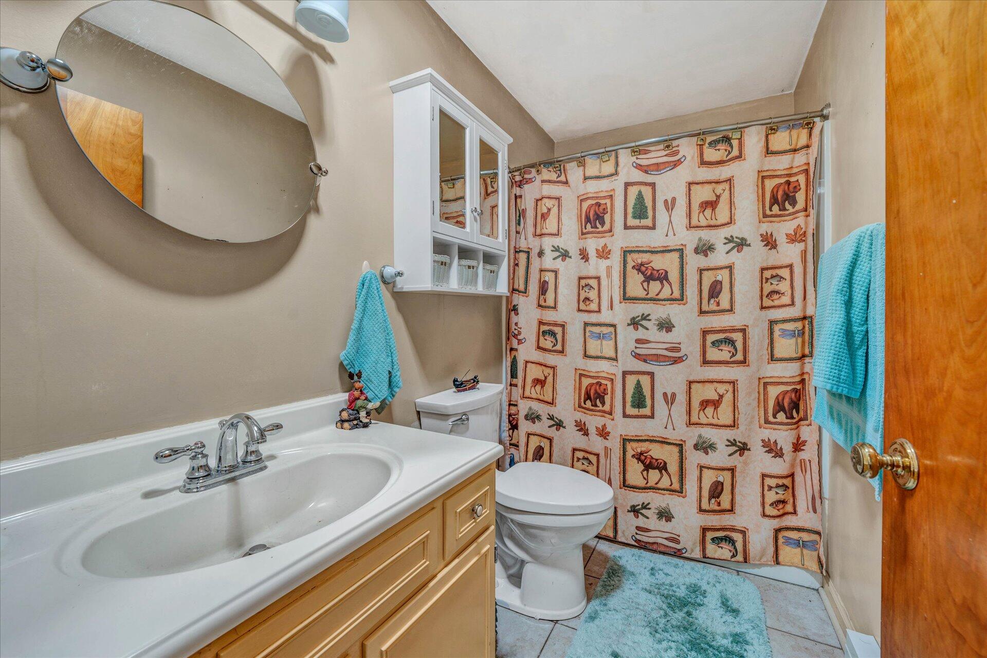 1182 Rabbit Drive Thaxton, VA 24174 - Photo 16 of 58 a bathroom with a sink and a mirror